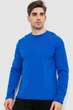 Чоловічий лонгслів AGER 4XL-5XL Електрик 102R3308 - зображення 1