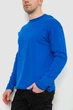 Чоловічий лонгслів AGER 4XL-5XL Електрик 102R3308 - зображення 3