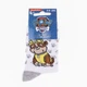 Шкарпетки PAW PATROL RUBEN білий, сірий Діти 19-22, артикул 43890847-5 - зображення 2