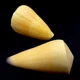 Морські мушлі Конус CONUS VIRGO, розмір: довжина 5-6 см - зображення 2
