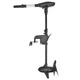 Лодочный электромотор Haswing Protruar G 4.0 130 lbs (59 кг) 24V - изображение 1