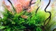 Калий в таблетках Aquario Neo Tabs Plant K - изображение 6