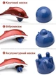 Массажер Дельфин для тела Dolphin Massager для похудения массажа шеи Ручной - изображение 9
