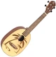 Укулеле Ortega Bonfire RUPA5 Concert Ukulele Spruce/Sapele Natural (R125110) - изображение 1
