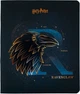 Набір загальних зошитів Kite Harry Potter 48 аркушів у клітинку 10 штук (HP24-259) - зображення 11