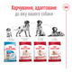 Сухой корм для собак средних пород Royal Canin Medium, 4 кг - изображение 3