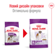 Сухой корм для собак гигантских пород Royal Canin Giant Adult , 15 кг - изображение 2