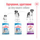 Сухой корм для собак гигантских пород Royal Canin Giant Adult , 15 кг - изображение 3