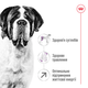 Сухой корм для собак гигантских пород Royal Canin Giant Adult , 15 кг - изображение 6