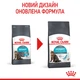 Сухой корм для кошек Royal Canin Urinary Care профилактика мочекаменной болезни, 10 кг - изображение 2