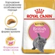 Сухий корм для котят Royal Canin British Shorthair Kitten породы Британская короткошерстная, 10 кг - изображение 2