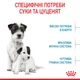 Сухой корм для собак Royal Canin Mini Starter мелких пород в период беременности и лактации, 1 кг - изображение 4