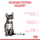 Сухой корм для стерилизованных котят Royal Canin Kitten Sterilised , 400 г - изображение 6