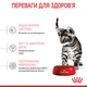 Сухой корм для стерилизованных котят Royal Canin Kitten Sterilised , 400 г - изображение 7
