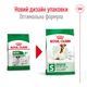 Сухий корм для старіючих собак малих порід Royal Canin Mini Adult 8+, 800 г - зображення 5