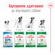 Сухой корм для собак малых пород старше 12 лет Royal Canin Mini Ageing 12+ , 800 г - изображение 3