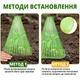 Конусні міні-теплиці, парники для саду та городу (10 шт) - зображення 3