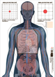 Мишень сувенирная «Анатомическая», ф. А2 - изображение 1