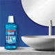 Ополіскувач Oral-B Professional Protection 500 мл (4015600572969) - зображення 6