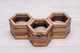 Шкатулка для хранения наручных часов ecoWalnut 7.8х27.1х14.1 см - изображение 1
