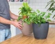 Горшок для цветов Form-Plastic Мика круглый 6 л 23 х 21 см, Цвет Антрацит - изображение 2
