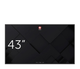 Монитор Avtek Avtek DS 43 (1TV312) EU - изображение 1