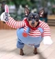 Костюм для маленьких собак до 4.5кг Розмір S Good Dogs Red Blue - зображення 8