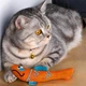 Игрушка для Котов Barksi Дентал с Колокольчиком Рыбка Оранжевая 17 х 6 см (3441) - изображение 3