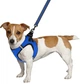 Шлея для собак Barksi Mesh Vest 2XS обхват шеи - 26 см, обхват груди - 29 см Синяя (83202) (2007033026180) - изображение 4