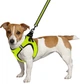 Шлея для собак Barksi Mesh Vest 2XS обхват шеи - 26 см, обхват груди - 29 см Лимонная (83205) (2007033026142) - изображение 4