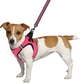 Шлея для собак Barksi Mesh Vest 2XS обхват шеи - 26 см, обхват груди - 29 см Розовая (83206) (2007033026173) - изображение 4