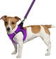Шлея для собак Barksi Mesh Vest 2XS обхват шеи - 26 см, обхват груди - 29 см Фиолетовая (83207) (2007033026197) - изображение 4