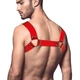 Мужская портупея на грудь Feral Feelings - Bulldog Harness Red Trasparent - изображение 2