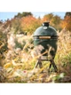 Гриль угольный Big Green Egg Large - изображение 3