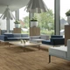 Линолеум Beauflor Ambient GAMBEL OAK 662M 1500 1.5x3.33 м 5 м² 33 класс/42 класс (5006448709) - изображение 2