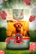 Корм для собак сухой со вкусом говядины для всех пород 10КГ MIX Good Friend - изображение 3
