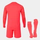 Форма вратарская Joma ZAMORA VII коралловый M 102789.040 M - изображение 2