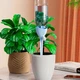 Конусы для полива с регулируемым клапаном Garden Cone 2 шт - изображение 4