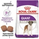 Сухой корм Royal Canin Giant Adult для взрослых собак гигантских пород, 4 кг - изображение 2