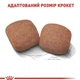 Сухой корм Royal Canin Giant Adult для взрослых собак гигантских пород, 4 кг - изображение 3