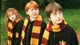 Шарф факультету Хогвартс емблемою Гріфіндор Harry Potter Гаррі Поттер Бордовий з жовтим 170х17 см (90010) - зображення 4