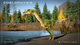 Гра Xbox One Jurassic World Evolution 2 (Blu-ray диск) (5056208813206) - зображення 10