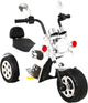 Motocykl elektryczny Ramiz Hot Chopper Biały (5903864913620) - obraz 9