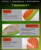 Силиконовая паровая щетка для шерсти собак и кошек , щетка расческа с паром для вычесывания шерсти (арт.4107) - изображение 5
