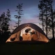 Белая трехместная надувная палатка Naturehike CNK2300ZP024 - изображение 3