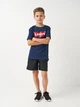 Детская футболка для мальчика Levi's LVB Batwing Tee 8E8157-U09 116 см (3665115030419) - изображение 6