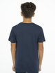 Детская футболка для мальчика Levi's LVB Batwing Tee 8E8157-U09 116 см (3665115030419) - изображение 12