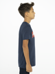 Детская футболка для мальчика Levi's LVB Batwing Tee 8E8157-U09 116 см (3665115030419) - изображение 16