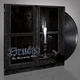 Вінілова платівка Season Of Mist Drudkh Всі Належать Hочі / All Belong To The Night Black Vinyl Limited To 900 Copies Worldwide LP 822603194517 - изображение 2