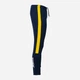 Спортивные штаны мужские Joma Eco Championship 102752.339 S Черные (8445456373049) - изображение 9